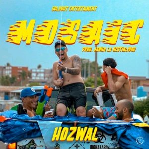 Hozwal – Mosaic